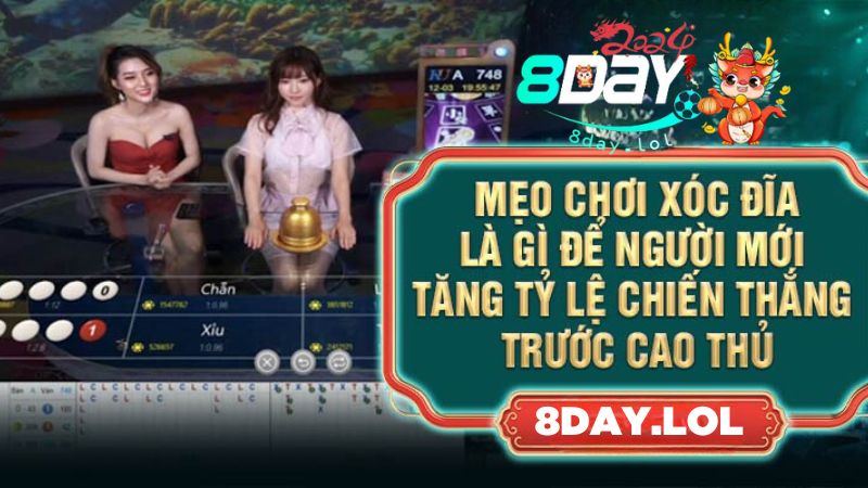 Mẹo chơi xóc đĩa là gì để người mới tăng tỷ lệ chiến thắng trước cao thủ