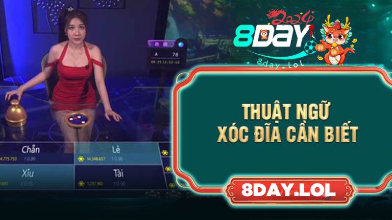 Thuật ngữ xóc đĩa cần biết